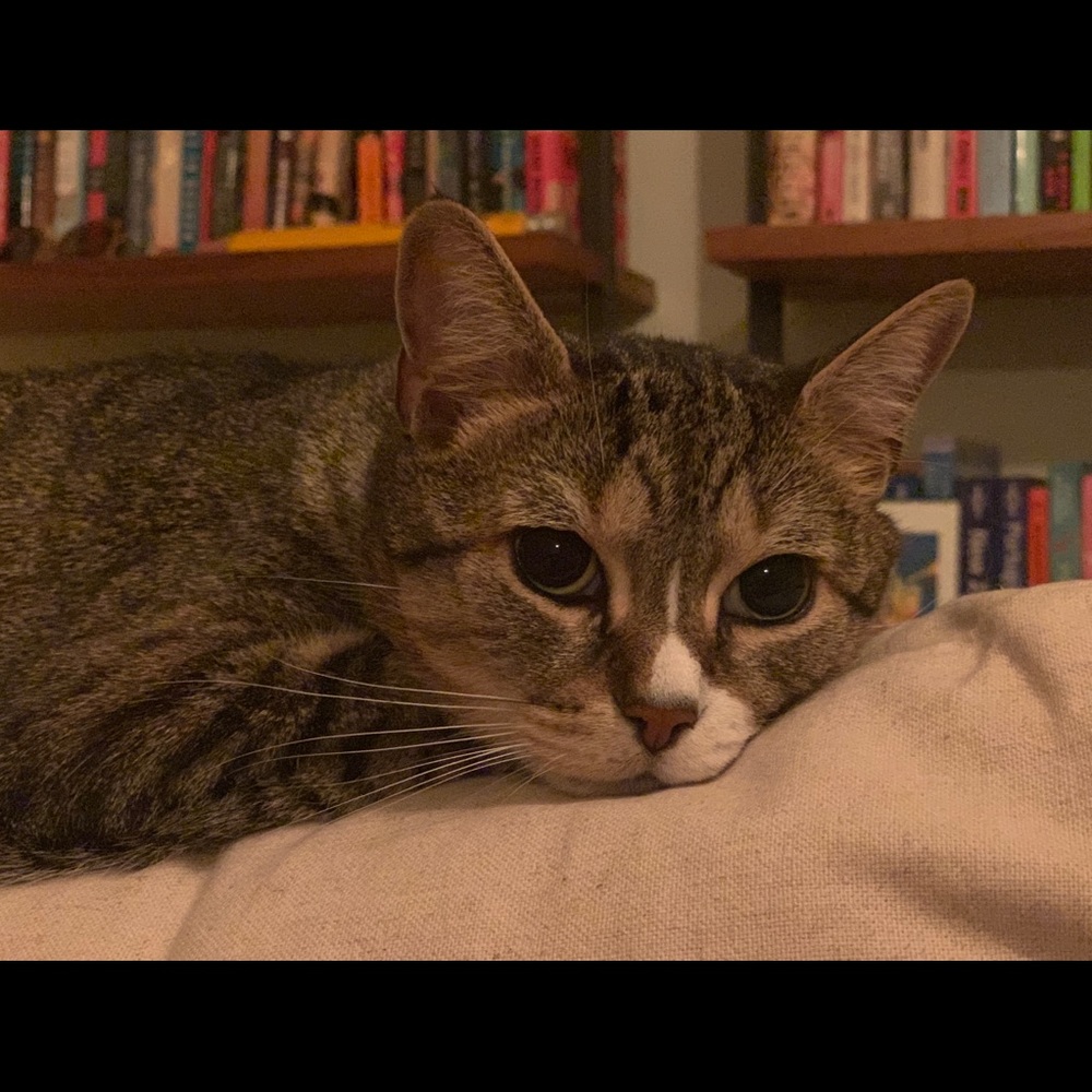 Meet your Posher, Michelle